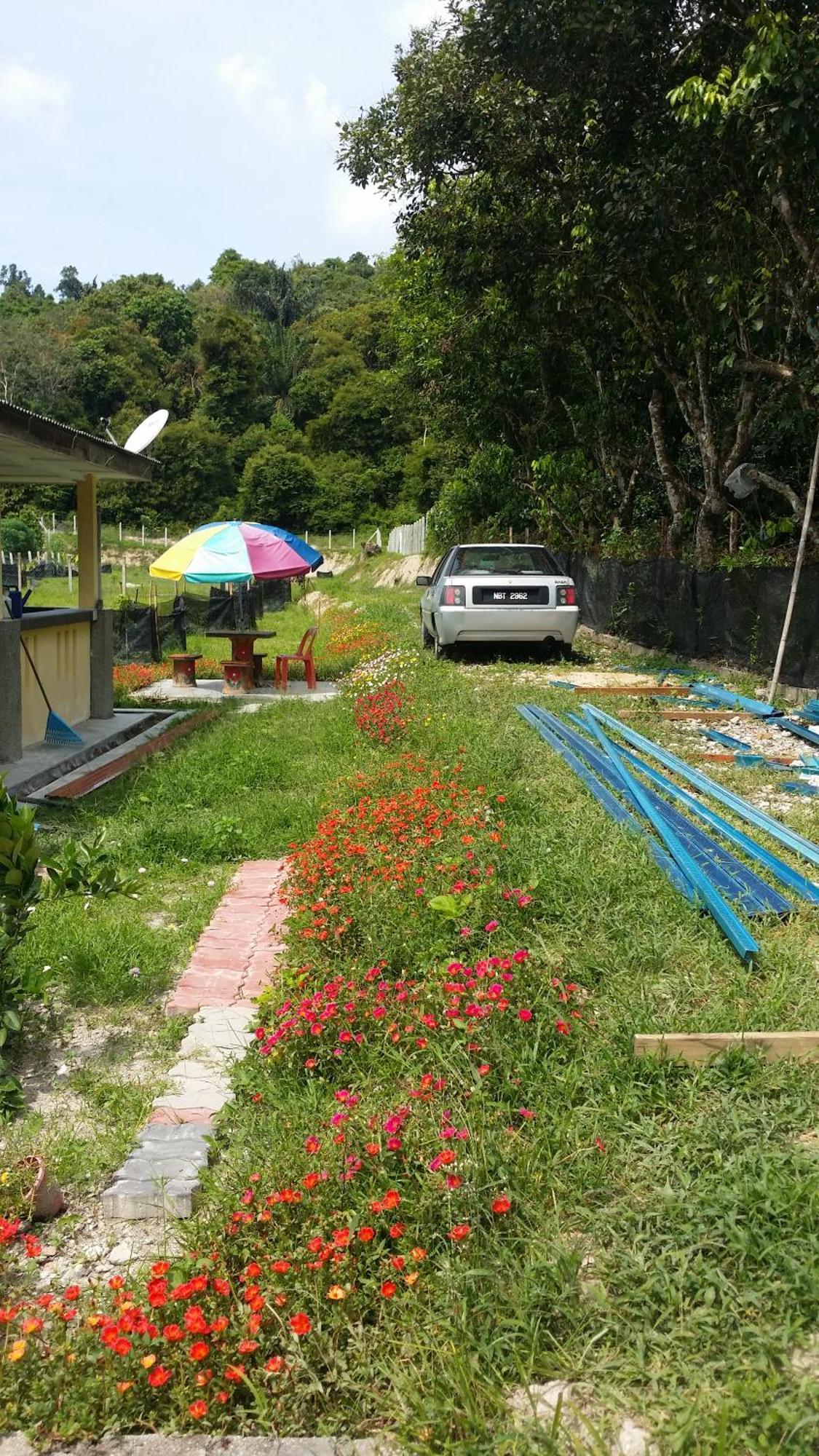 Kuntum Cottage Bed & Breakfast Kampung Tanjung Ipoh Dış mekan fotoğraf